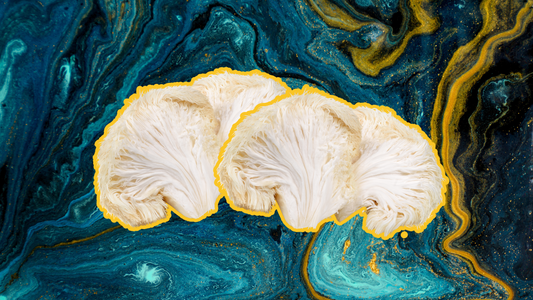 Unlocking the Brain-Boosting Potential of Lion’s Mane Mushroom: Insights from a Recent Study