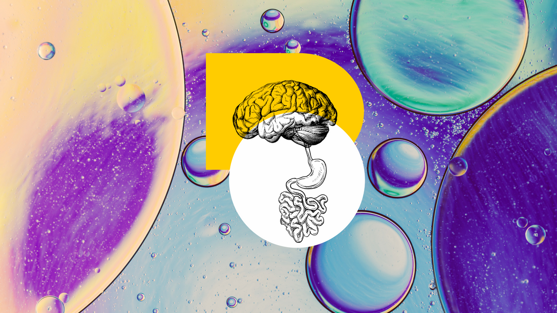 Gut-Brain Axis 101: Why Your Microbiome Shapes Your Mood