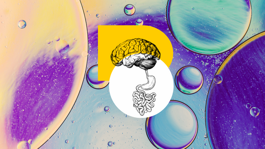 Gut-Brain Axis 101: Why Your Microbiome Shapes Your Mood