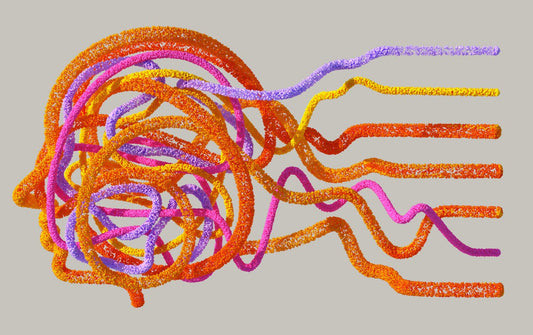 The Connection Between Gut Health & Cognitive Function